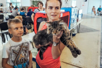 В столице Татарстана кошек гораздо больше