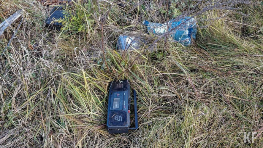 Студенты часто&nbsp;сами являются инициаторами акции.