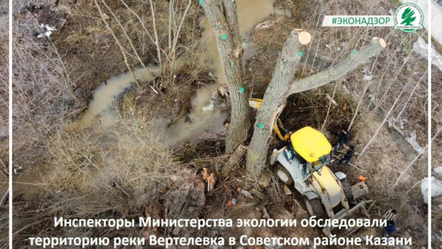 Сотрудники министерства экологии выехали на обследование места.