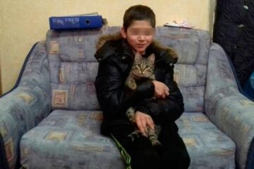 Бездомный кот в Калининградской области всю ночь согревал пропавшего 13-летнего мальчика