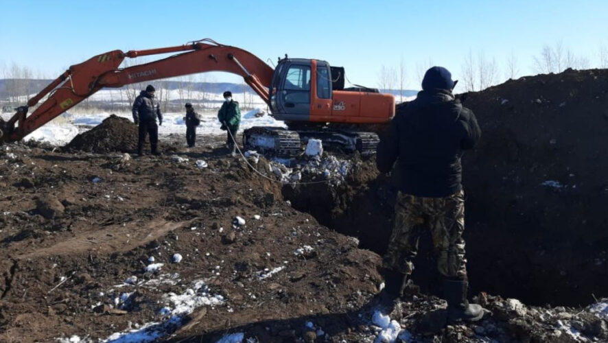 Экологи сообщили о поимке нарушителя природоохранного закона.