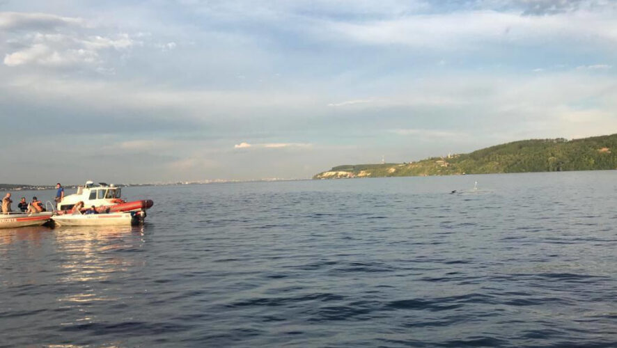 О местонахождении Михаила Морозова ничего не известно с 10 июля.