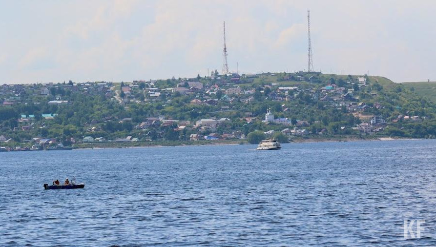 Выпуск молоди рыб помогает увеличить их популяцию и сохранить экологический баланс.