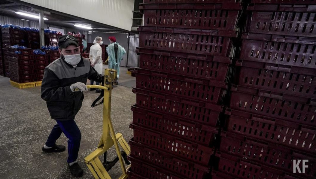 Основы модели новой самодостаточной и независимой от внешних факторов экономики аналитики предлагают искать в опыте отечественного социализма.