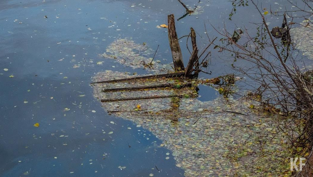 Компании придется заплатить 390 тысяч рублей.