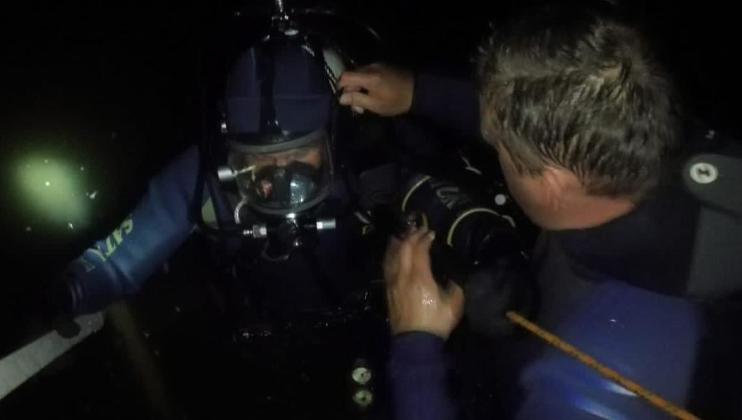 Предполагают