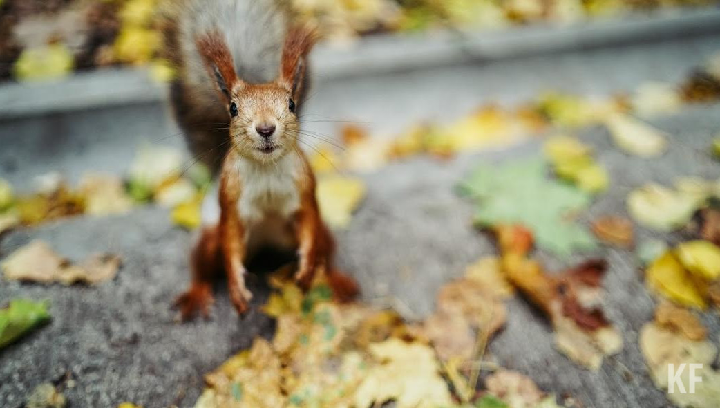 Столбики термометров поднимутся 11-13 градусов.
