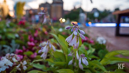Результаты понадобятся при ведении Красных книг и изучении особо охраняемых природных зон.