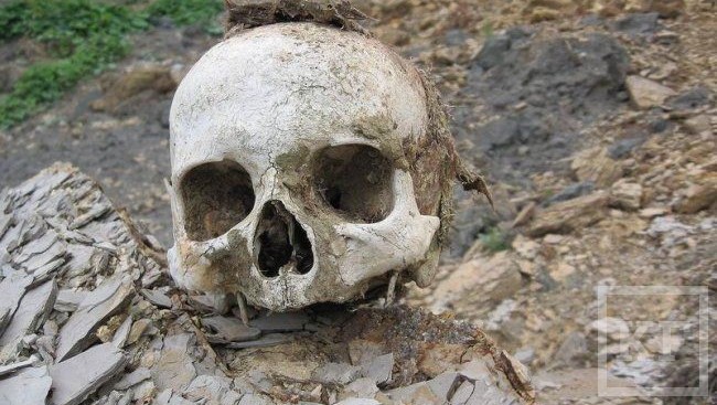 В Казани на улице Профсоюзная прохожий нашел в кустах человеческий череп