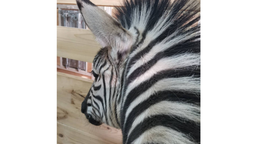 Сотрудники заведения сообщили