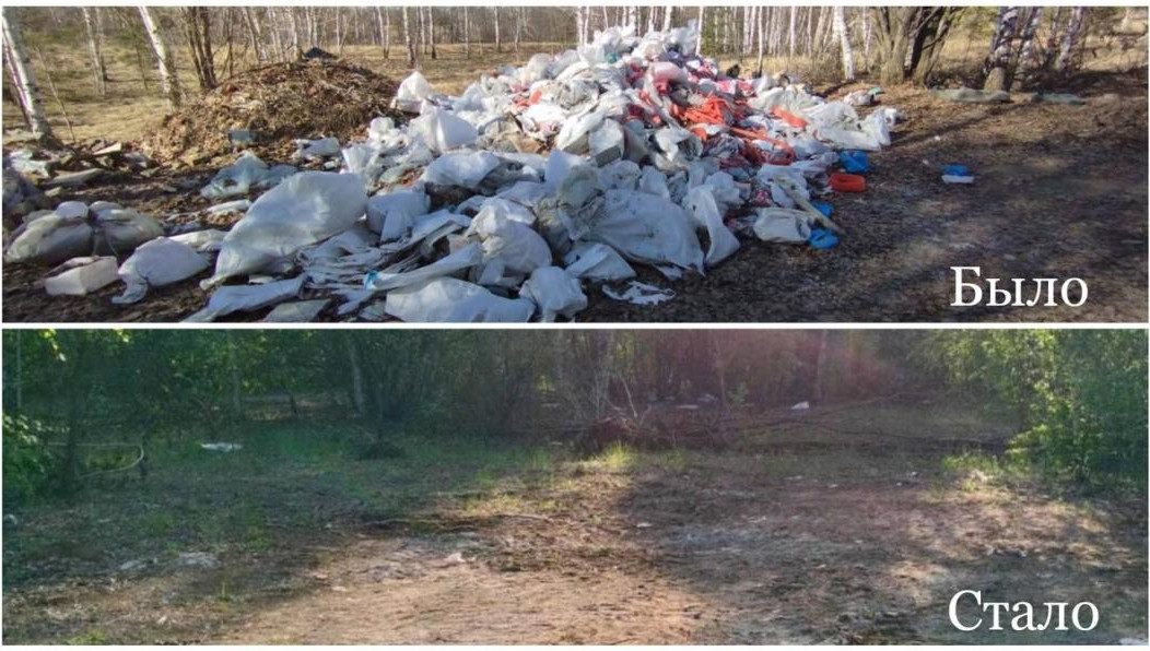 Площадь захламления составила 115 кв.м.