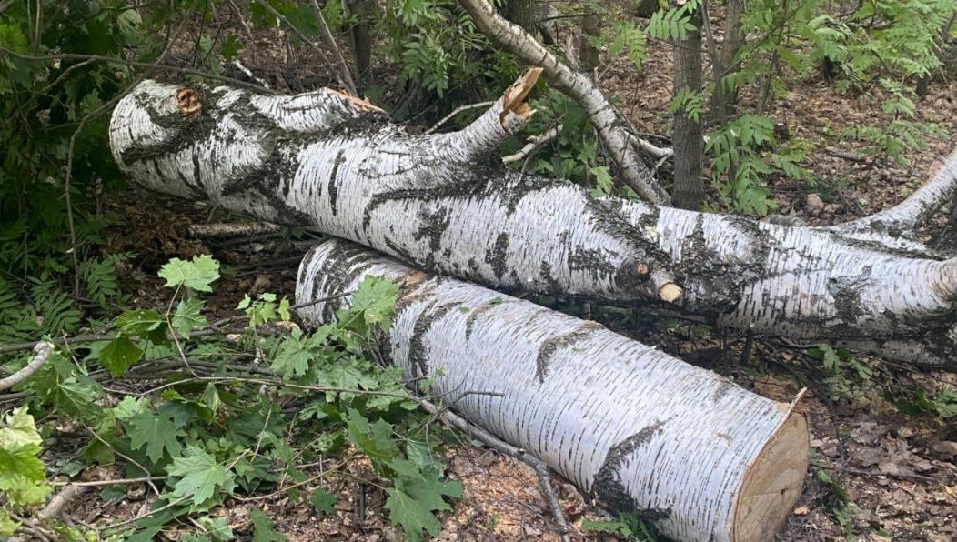 Мужчину обвиняют в причинении смерти супруге по неосторожности.