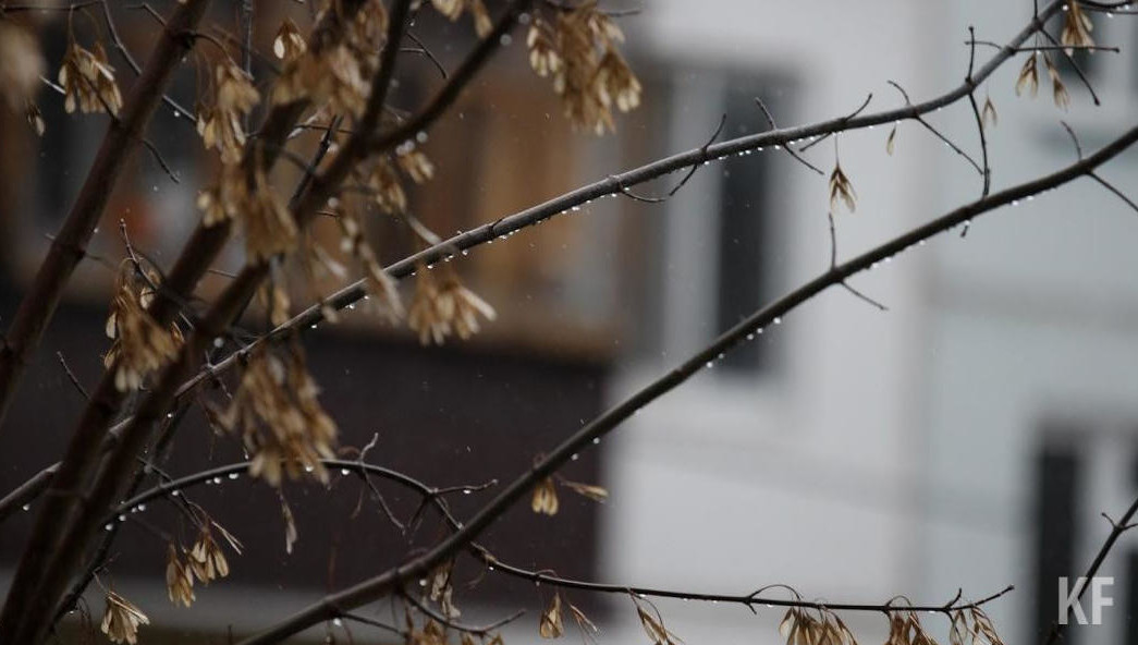 На отдельных участках дорог возможно образование гололедицы.