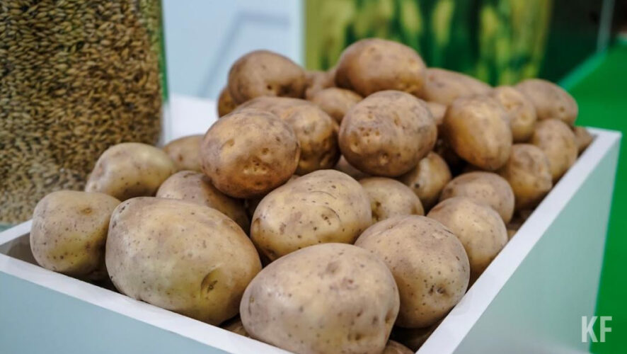 В ведомстве уверены