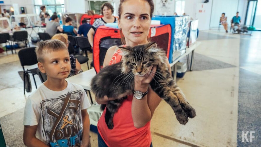 Мероприятие пройдет в Советском и Приволжском районах города.