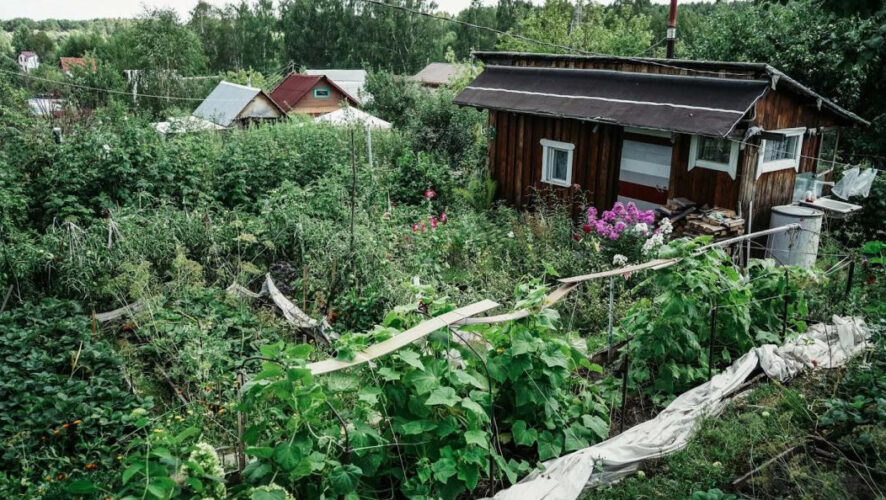 Контракт заключили с компаниями &laquo;Альтекс&raquo; и &laquo;Авантех&raquo;.