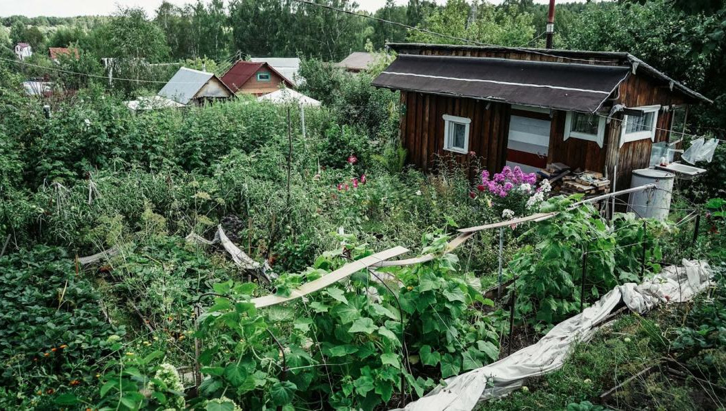 Контракт заключили с компаниями «Альтекс» и «Авантех».