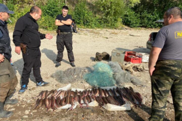 Мужчины поймали рыбу на сумму более 375 тысяч рублей.