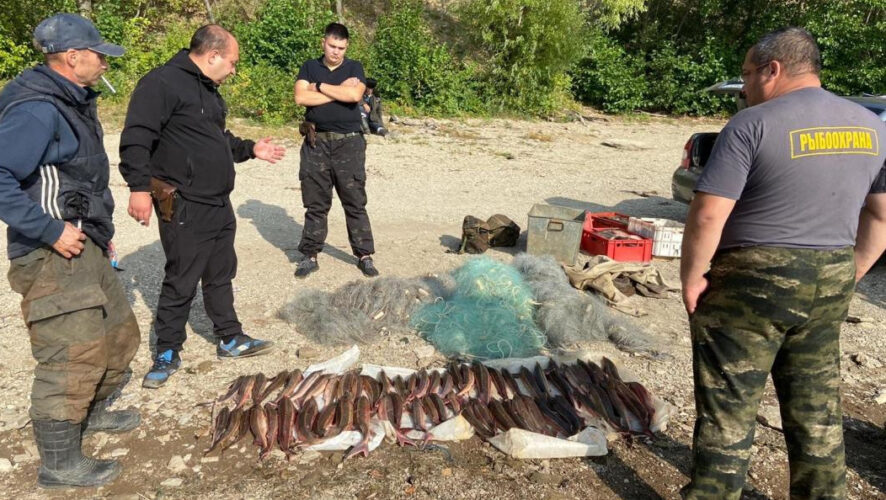 Мужчины поймали рыбу на сумму более 375 тысяч рублей.