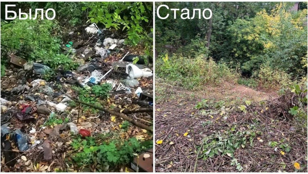 Мусором завалили 150 кв.м территории.