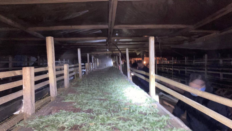 Всего силовики нашли на территории фермы 21 кг вещества растительного происхождения