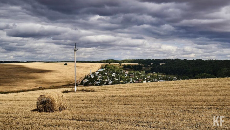 Проект оградит крупный бизнес от возможности использования понятия &laquo;фермерское&raquo;.