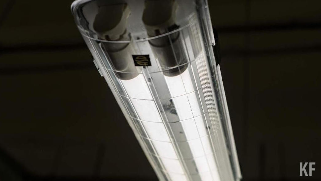 При средней температуре +24