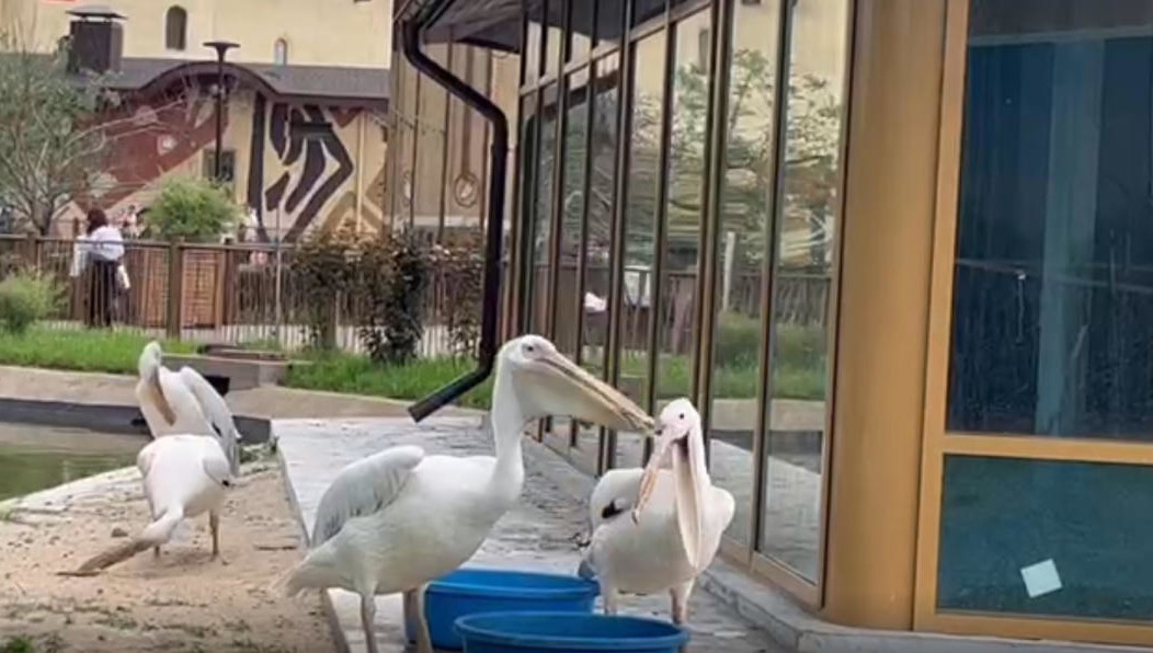 Кадры предоставили сотрудники учреждения.