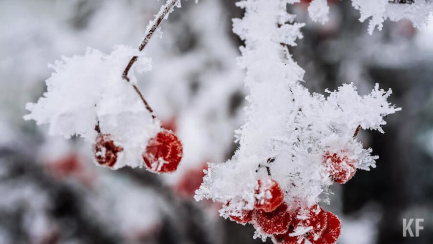 Всего муниципальные службы выполнили 2700 рейсов при очистке города от сугробов.