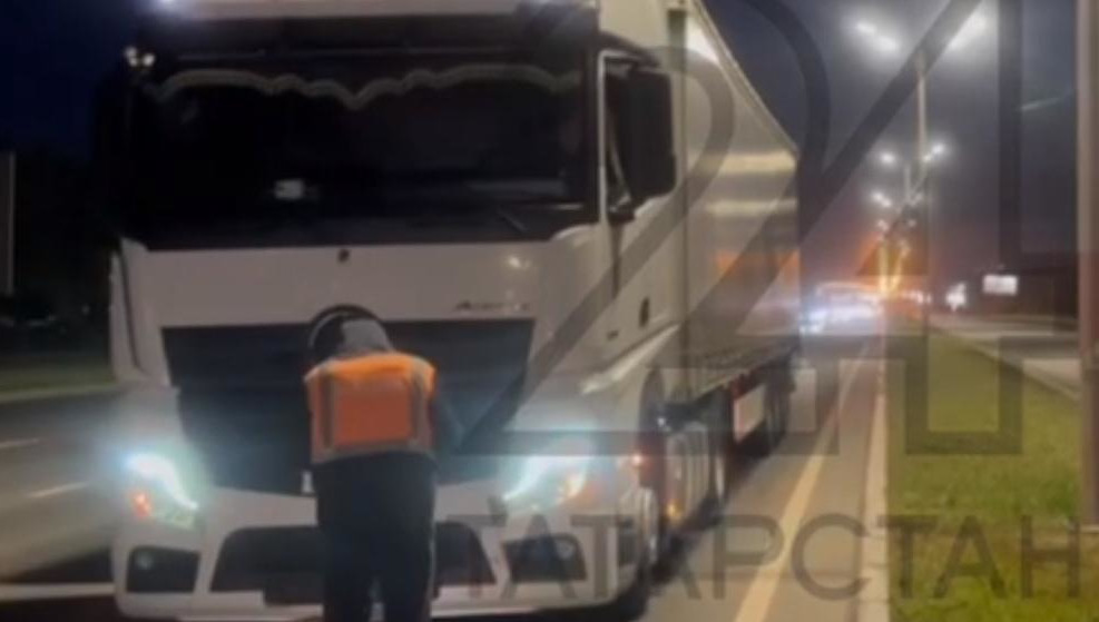 За погибшее животное водитель заплатит штраф в 30 тысяч рублей.