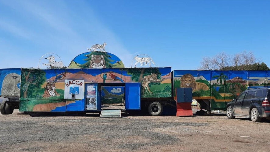 Материалы направили в прокуратуру автограда.