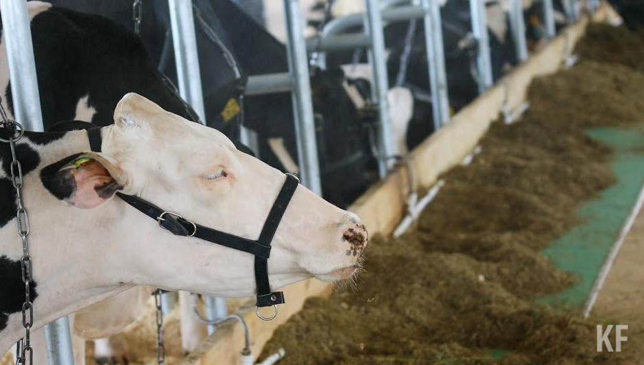 Выгодные предложения предоставляет платформа Свое Фермерство