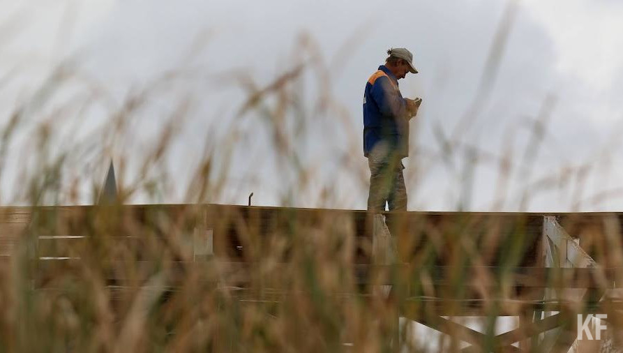 Их росту способствует дождливая погода.