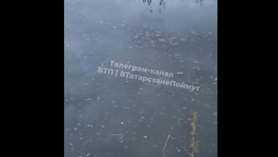 Предприятие&nbsp;&laquo;Красный Восток Арго&raquo;&nbsp;сливает все отходы в водоем.
