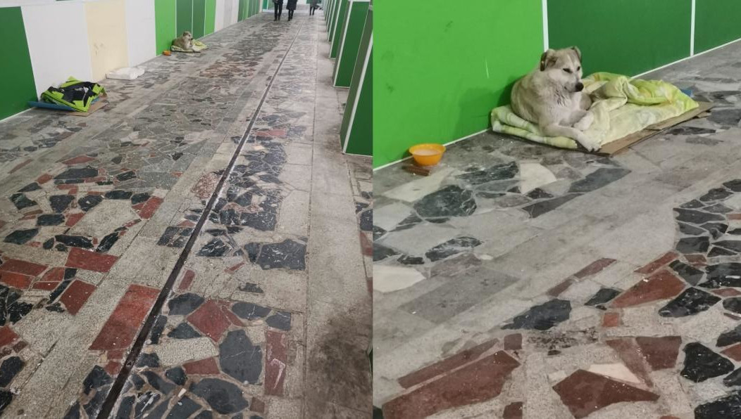 Несмотря на жалобы горожан