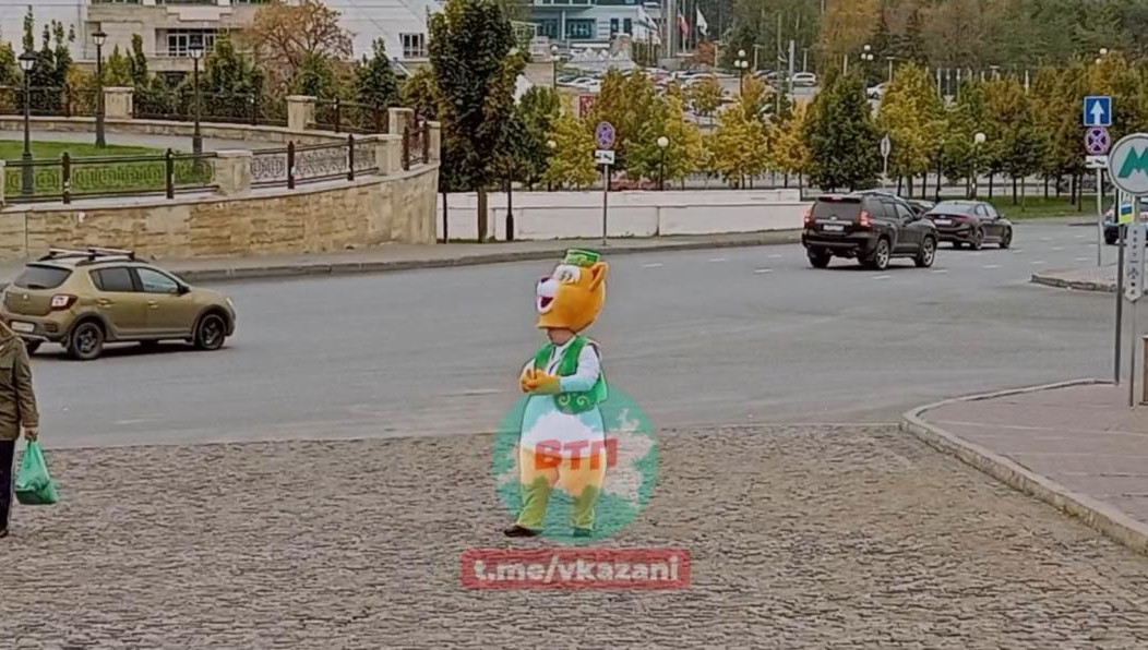 Татарские коты заменили лошадей и зебр.