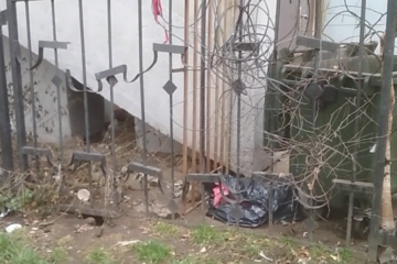 Крысы были замечены очевидцем на улице Саид-Галеева около ресторана «Шах» и Макдональдса.