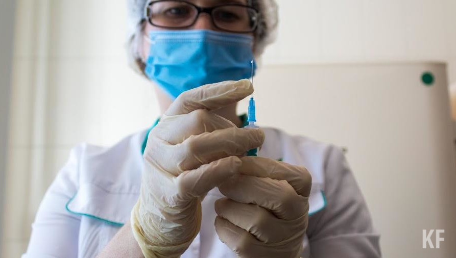 Цирковирусная болезнь свиней может привести к падежу большей части стада