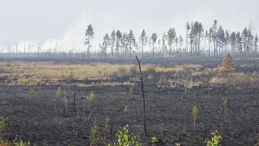 Угрозы населенным пунктам нет.