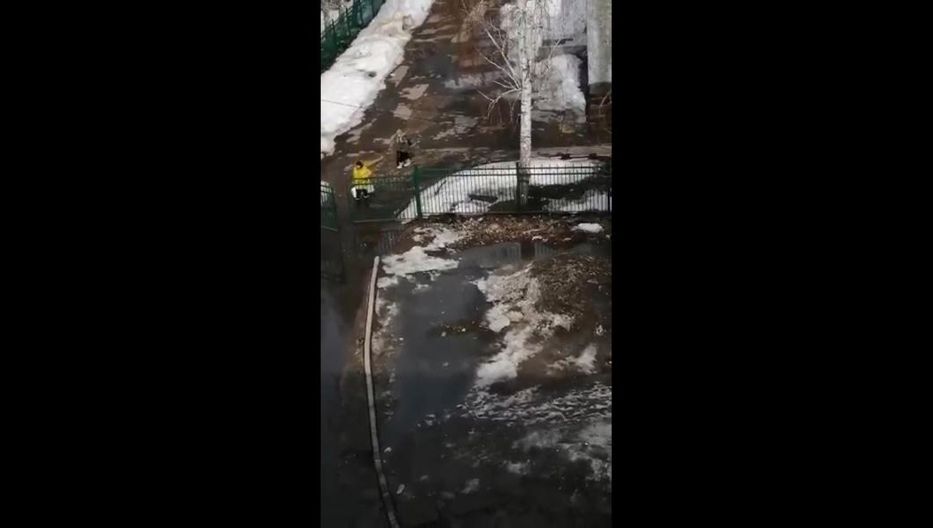 Очевидец снял на телефон