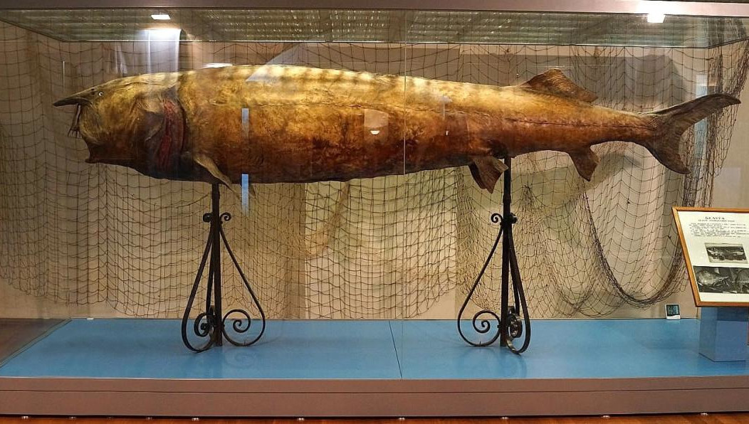 На выставке представят 128 предметов.