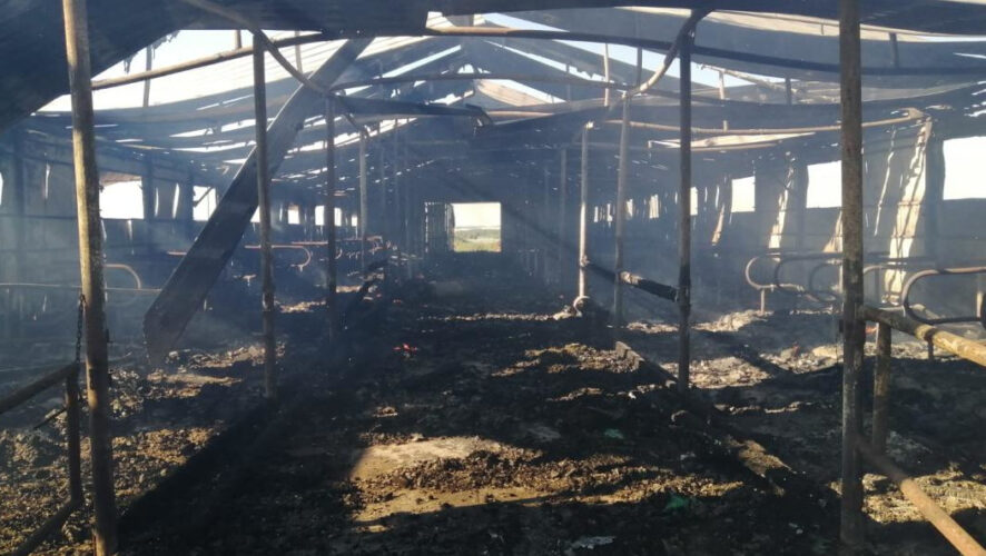 Площадь пожара составила 500 квадратных метров.