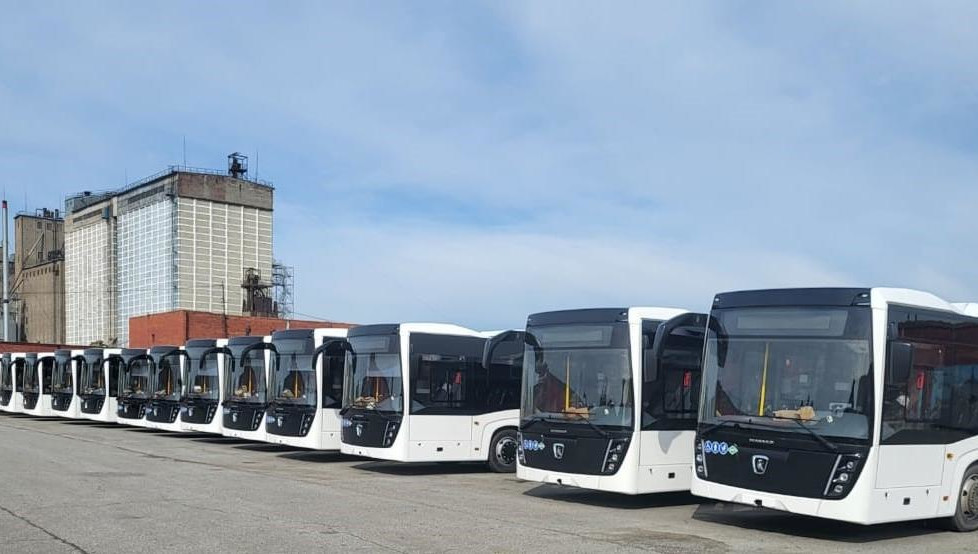 Автобусы выведут на самые востребованные маршруты.