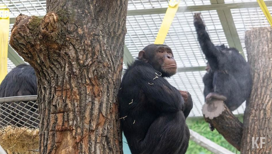 Отмечается