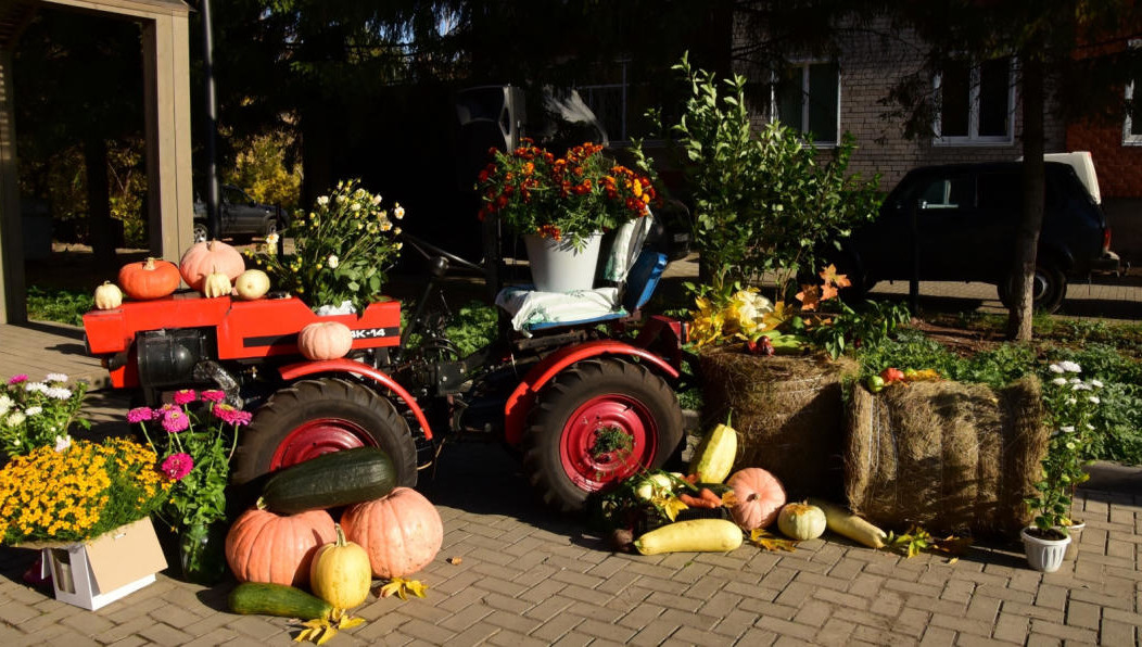 В мероприятии примут участие владельцы личных подсобных и крестьянско-фермерских хозяйств района.