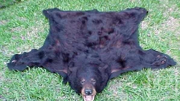 В  Мамадыше на объездной дороге полицейские задержали браконьеров с медвежьей шкурой