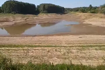 Казанцы обеспокоены осушением озера Чебакса. Эксперты не сулят ничего хорошего.