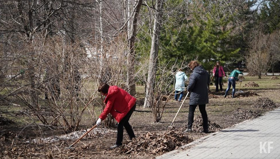 Жюри оценит количество собранного мусора
