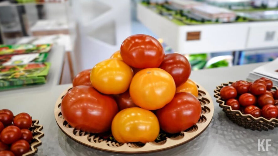 По словам замсекретаря Генсовета партии Дмитрия Кобылкина