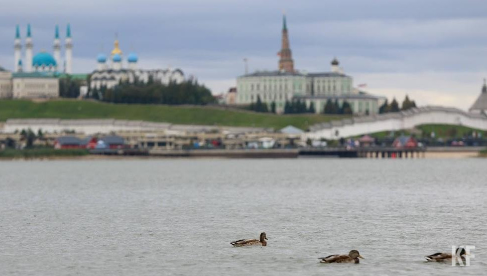 Погода будет прохладной до конца мая